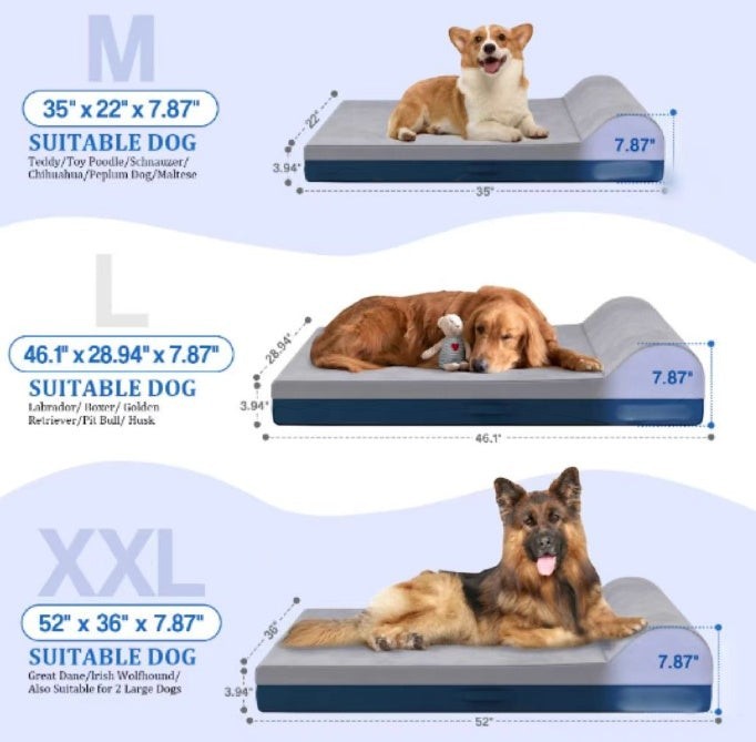 Wooofly Deep Rest Bed size guide showing M, L, and XXL memory foam dog beds with dimensions and dog breed examples.