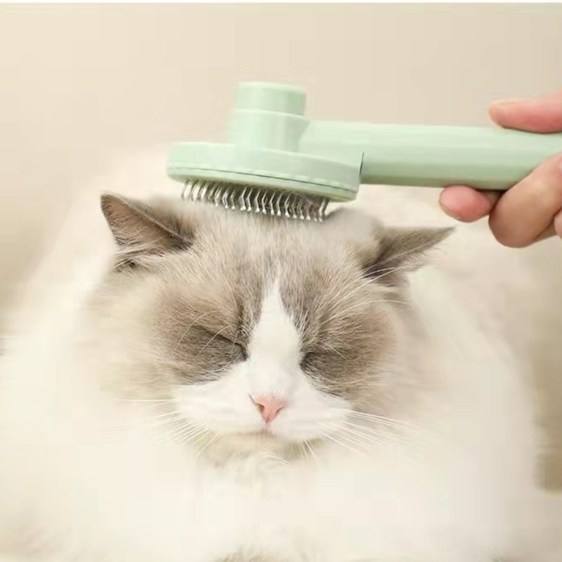 Wooofly deshedding brush grooming a fluffy white cat to remove loose fur