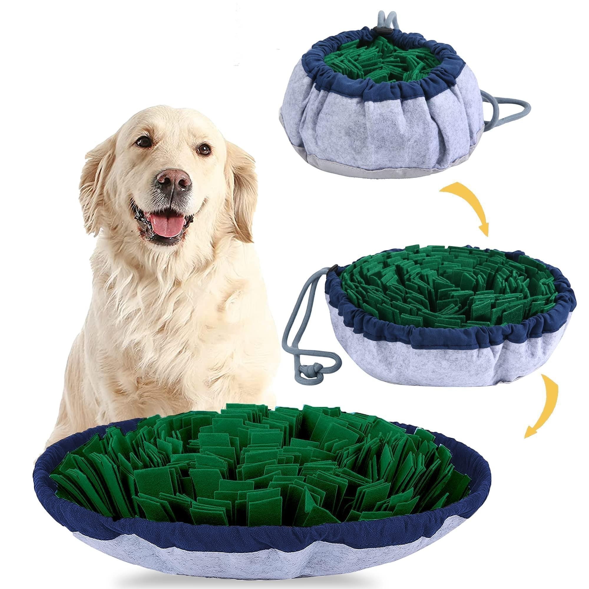 Wooofly Snuffle Mat with green fleece strips and blue trim, shown as a bowl and flat mat with a golden retriever.