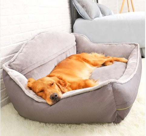 Wooofly stone-grey bolster sofa bed with a golden retriever sleeping comfortably in a bedroom setting.